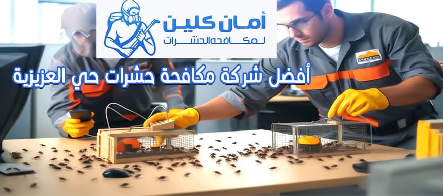 شركة مكافحة حشرات حي العزيزية